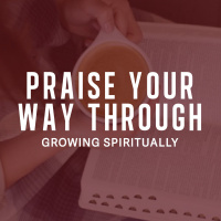 Praise Your Way Through - Peter Webber