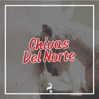 The Colorful Kit - Chivas Del Norte Returns