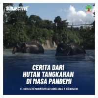 Cerita Dari Hutan Tangkahan di Masa Pandemi (ft. Rutkita Sembiring, Pegiat Konservasi amp Ekowisata)