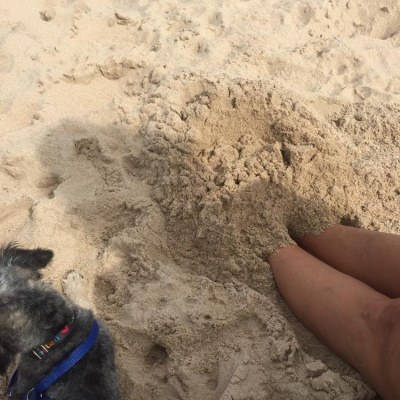 Timmysimmss Posts