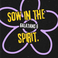 Episode 3: Sow to the SPIRIT