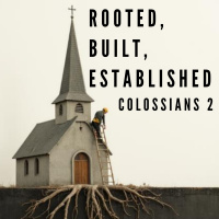 Episode 10: Rooted, Built, Established (Part 3)
