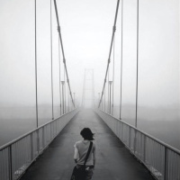 Episode 222: The Bridge