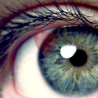 Episode 202: Eyes Wide Open