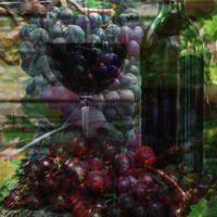 Episode 271: What Kind of Fruit