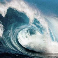 Episode 208: The Wave of Death