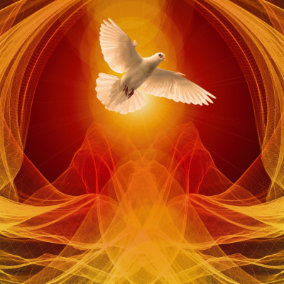 Grace And Truths Events