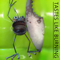 TLB 342: Wipe Out
