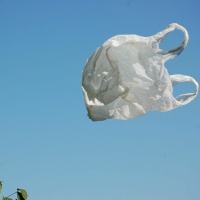 BYC Podcast 25- 2 Guys And A Windbag