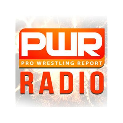 Pro Wrestling Report