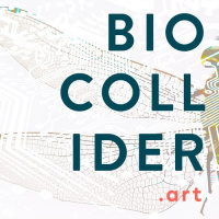 Genes, Collaborations, and Permissions with Adam Zaretsky