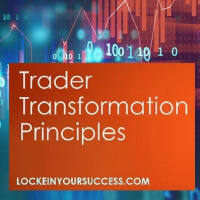 Trader Transformation Principles in 2022