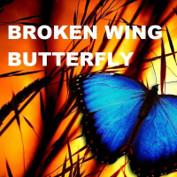 Mastering Broken Wing Butterflies