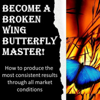 Become A Broken Wing Butterfly Master 2021