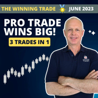 Pro Trade Wins Big!