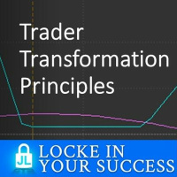 Trader Transformation Principles