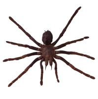 Spiders Gobble Gargantuan Numbers of Tiny Prey