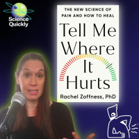 You’ve been lied to about pain—here’s the truth