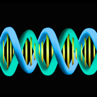 Ancient Clan War Explains Genetic Diversity Drop