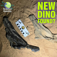 New dino, vaccine shake-ups, dirty air risks