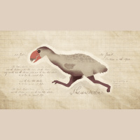 This Thunderous Goose Relative Was Built like a Tank with the Wings of a Songbird