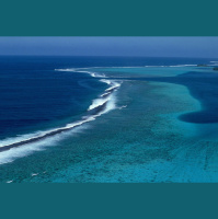 U.S. Coral Reefs Do $1.8 Billion of Work Per Year