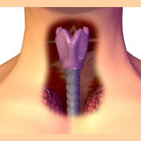 Vocal Cords Bioengineered from Starter Cells