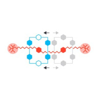 Nobel in Chemistry for Molecular Machines