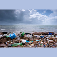 A Biodegradable Label Doesnt Make It So