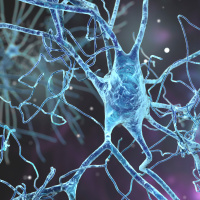 The Kavli Prize Presents: Understanding Neurodevelopment and Neurodegeneration [Sponsored]