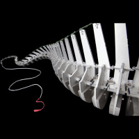 Dinos Tail Might Have Whipped It Good