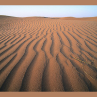 Sahara Reveals Remains of Ancient River