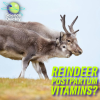 Women’s heart health, Artemis update, postbirthing vitamins for reindeer