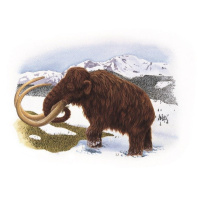 Menu Featured Mammoth but Diners Were Mocked