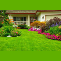 Trees Beat Lawns for Water-Hungry L.A.