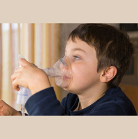 Early-Life Microbes Ward Off Asthma