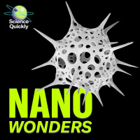 The Hidden Worlds of ‘Nanocosmos’