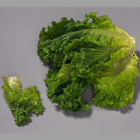 Healthful Eating Requires Supermarket Smarts