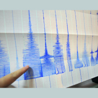 Dark Fiber Networks Can Sense Seismicity