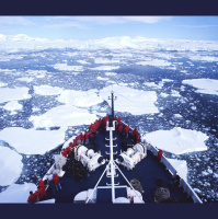 Arctic Marine Mammals Swim Up to the Microphone