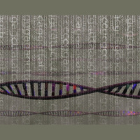 Neandertals Live On in Our Genomes