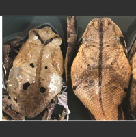 Science News Briefs from All Over