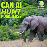 A teen, an algorithm and the race to stop poaching