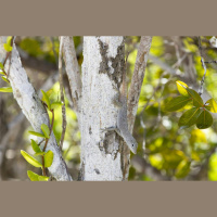 Science News Briefs from around the Planet