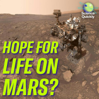 NASA Curiosity, suicide hotline hope, AI voice clone