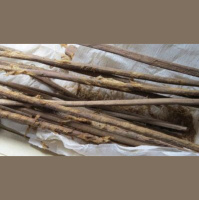 Silk Road Transported Goods--and Disease