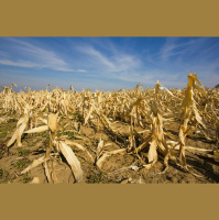 Heat Will Hit Americas Poorest Worst