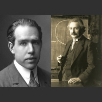Einstein–Bohr Friendship Recounted by Bohrs Grandson