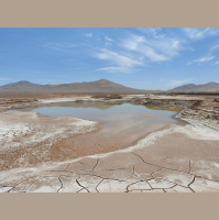 Rains Bring a Microbial Massacre to Chilean Desert