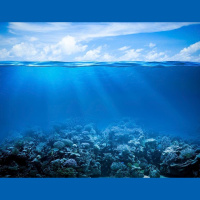 Coral Reefs Keep Costly Waves at Bay